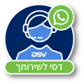 DSV-ASSISTANT-ICON_HIREZ